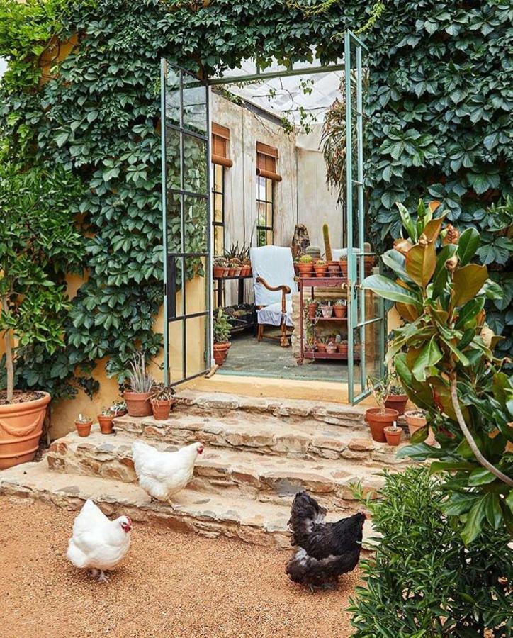 Jonkmanshof - 20 Bath Bed & Breakfast Montagu Exterior foto